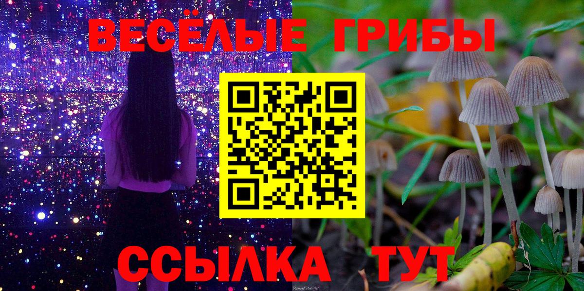 Псилоцибиновые грибы Magic Shrooms Котовск